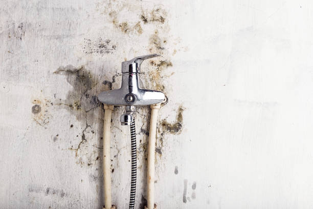 Best Mold Testing  in Spencerville, OH