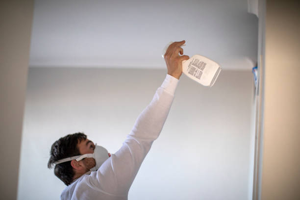 Best Black Mold Removal  in Spencerville, OH