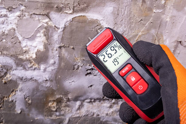 Best Toxic Mold Removal  in Spencerville, OH