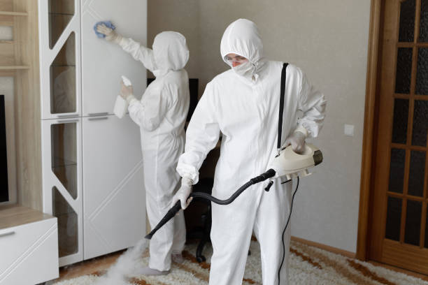 Best Crawl Space Mold Removal  in Spencerville, OH